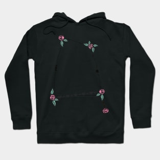 Corvus (The Crow) Constellation Roses and Hearts Doodle Hoodie